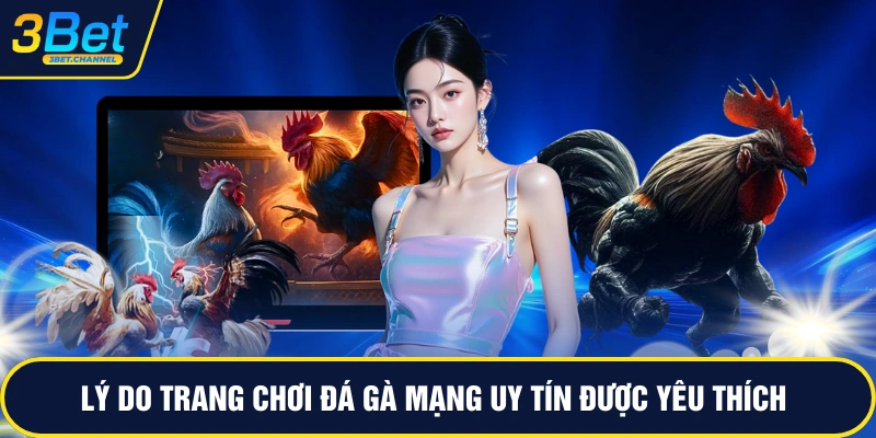 Lý do trang chơi đá gà mạng uy tín được yêu thích