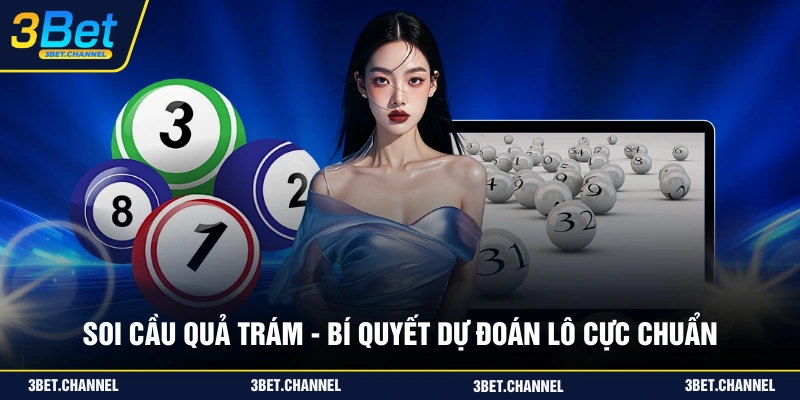 soi cầu quả trám