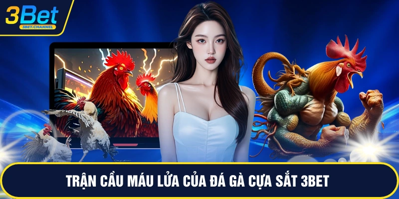 Trận cầu máu lửa của đá gà cựa sắt 3BET